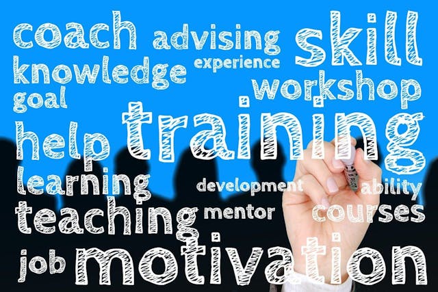/why-leading-us-tech-companies-look-for-skills-and-not-degrees feature image