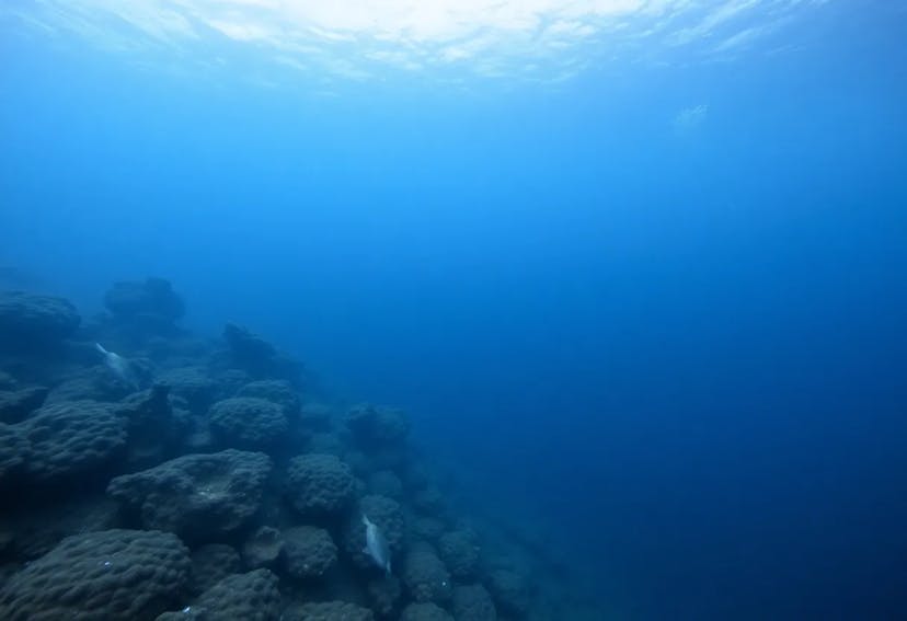 /what-needs-improvement-in-deepsee-for-ocean-research-experts-weigh-in feature image