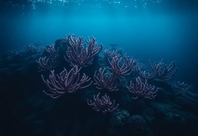/deepsee-making-it-easier-to-analyze-and-explore-ocean-data-for-future-research feature image