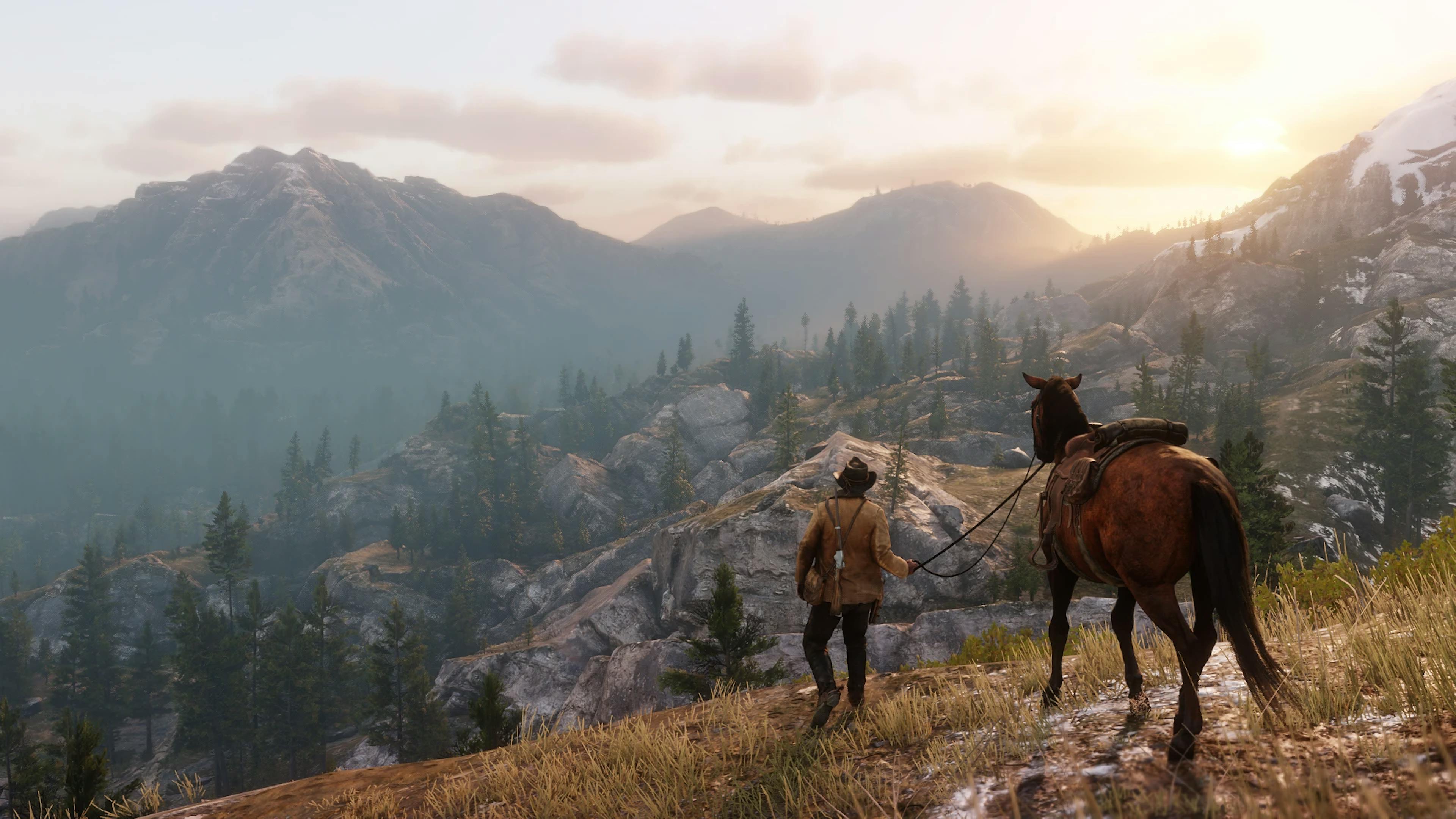 Graphics for Read Dead Redemption 2 (developed by RockStar studios over 8 years)