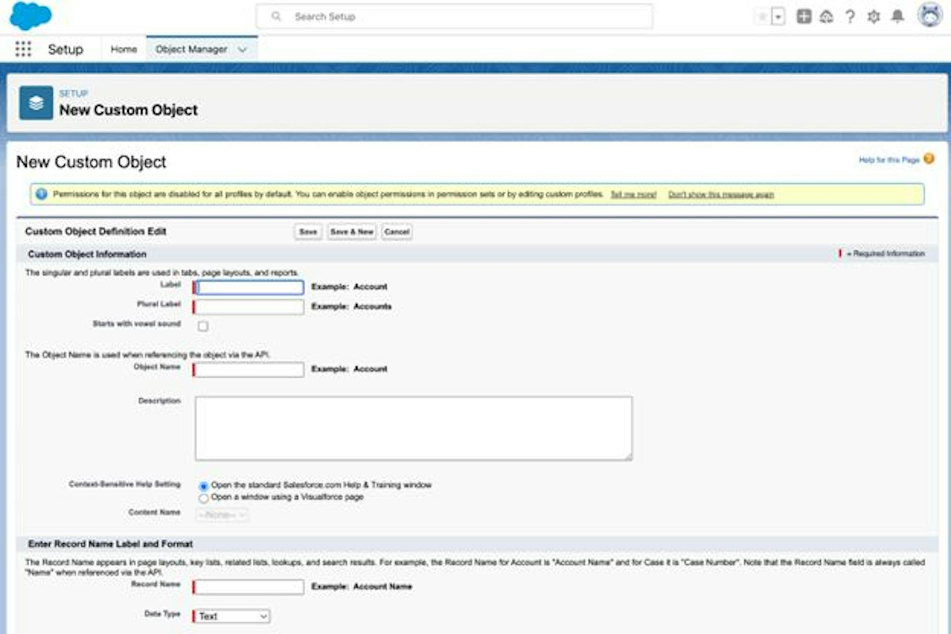 Custom Object in Salesforce