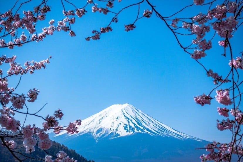 /ask-me-anything-about-japan-fual33h6 feature image