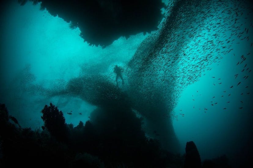/marooned-under-the-sea feature image
