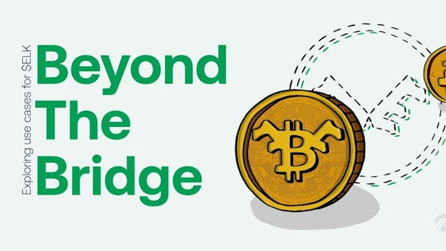 /an-introduction-to-the-elk-blockchain feature image