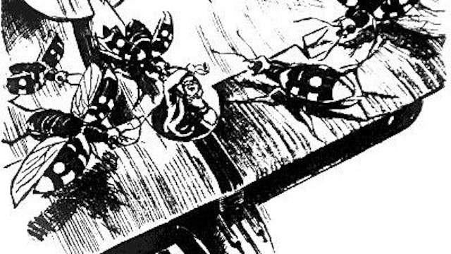 /the-hideous-monsters-leaped-into-the-cockpits-and-began-their-abominable-meal feature image