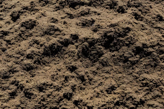 /a-speck-of-human-earth-dust feature image