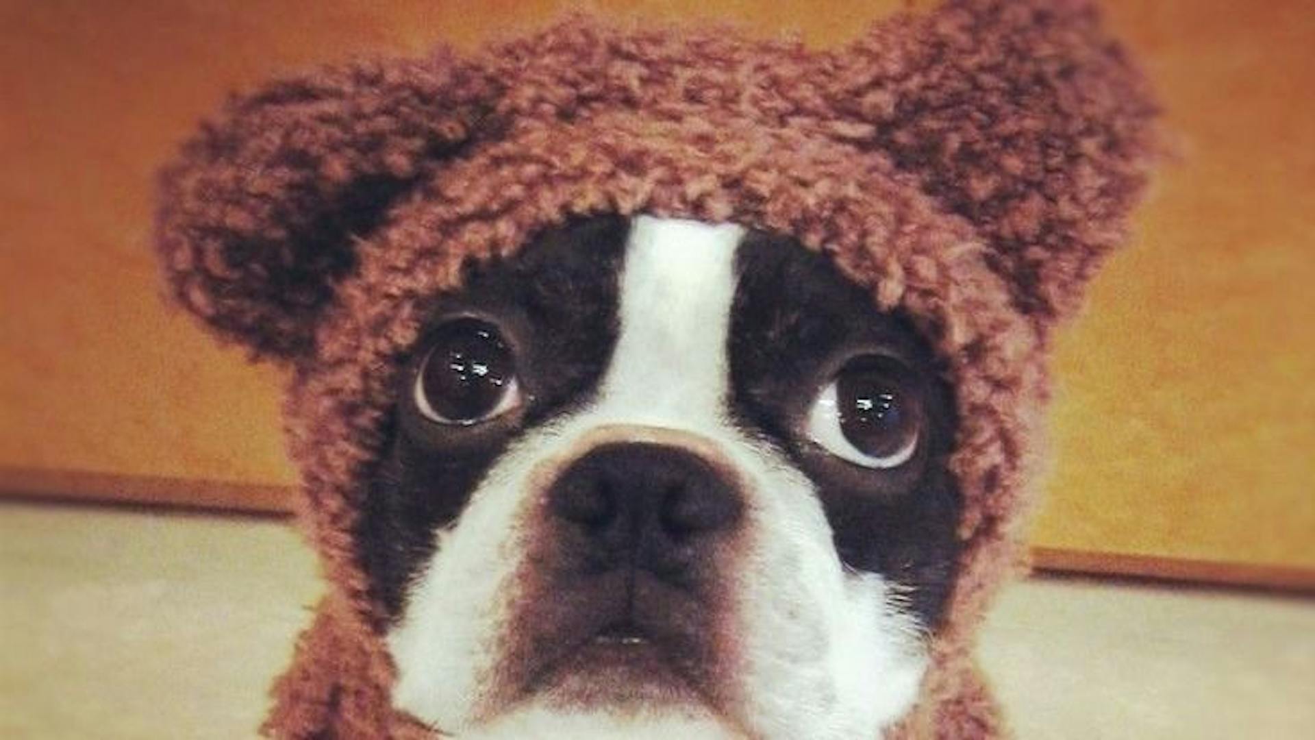 featured image - Crypto is Down But Not Out