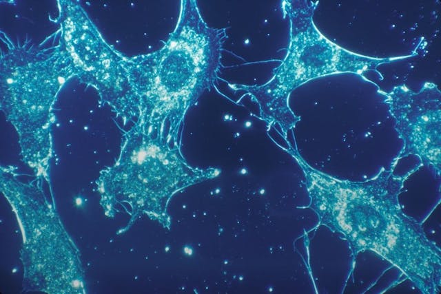 /the-three-types-of-science feature image