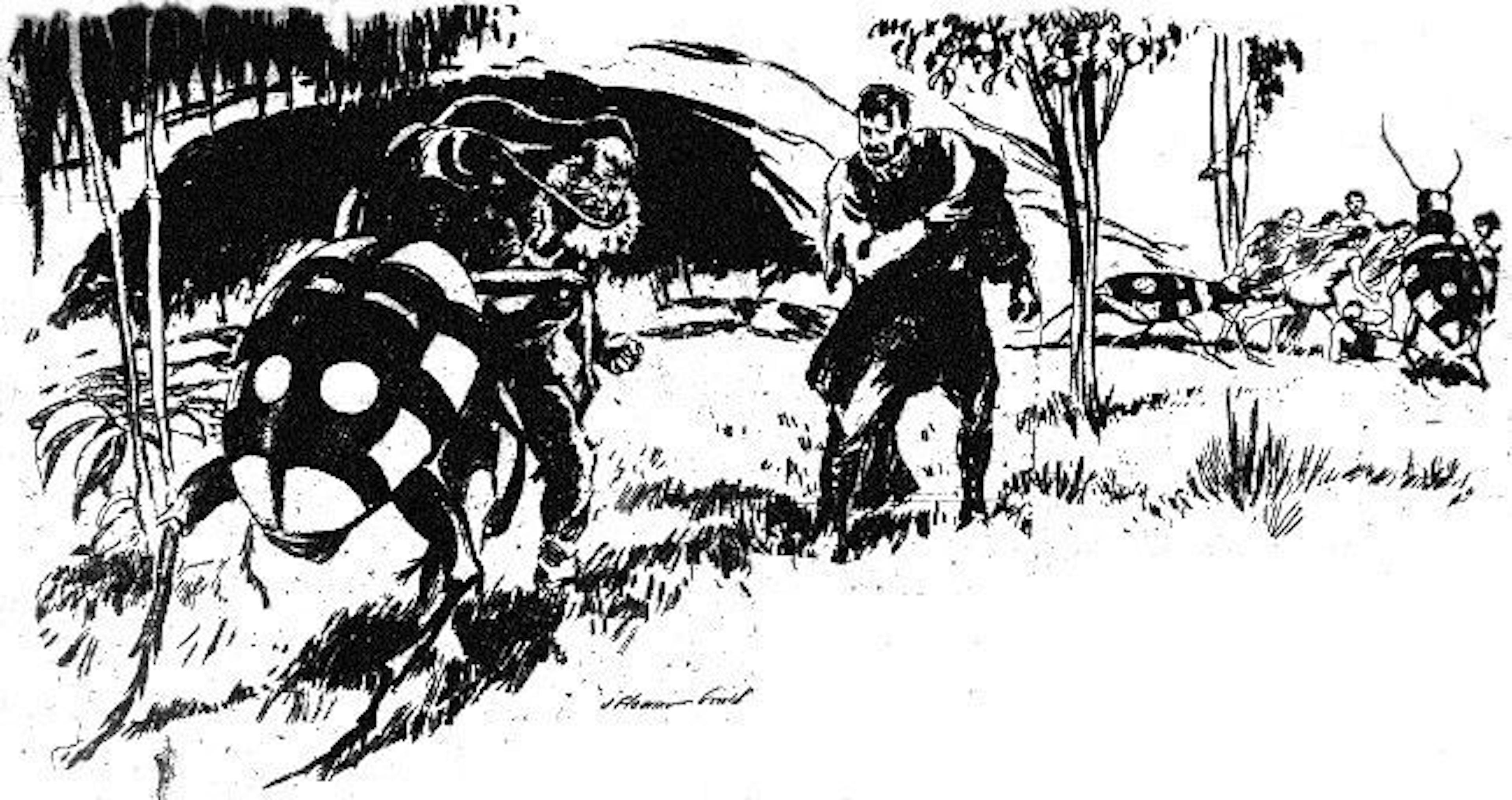 The Beetle Horde - Chapter II: Beetles and Humans