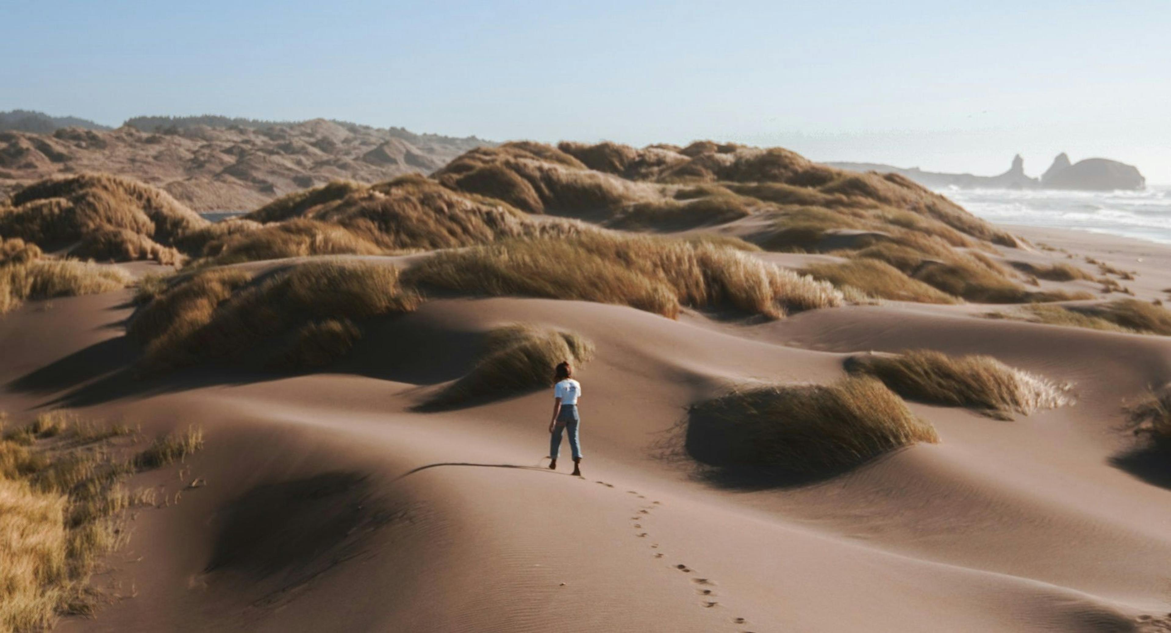 featured image - Hiring in a Tech Skills Shortage