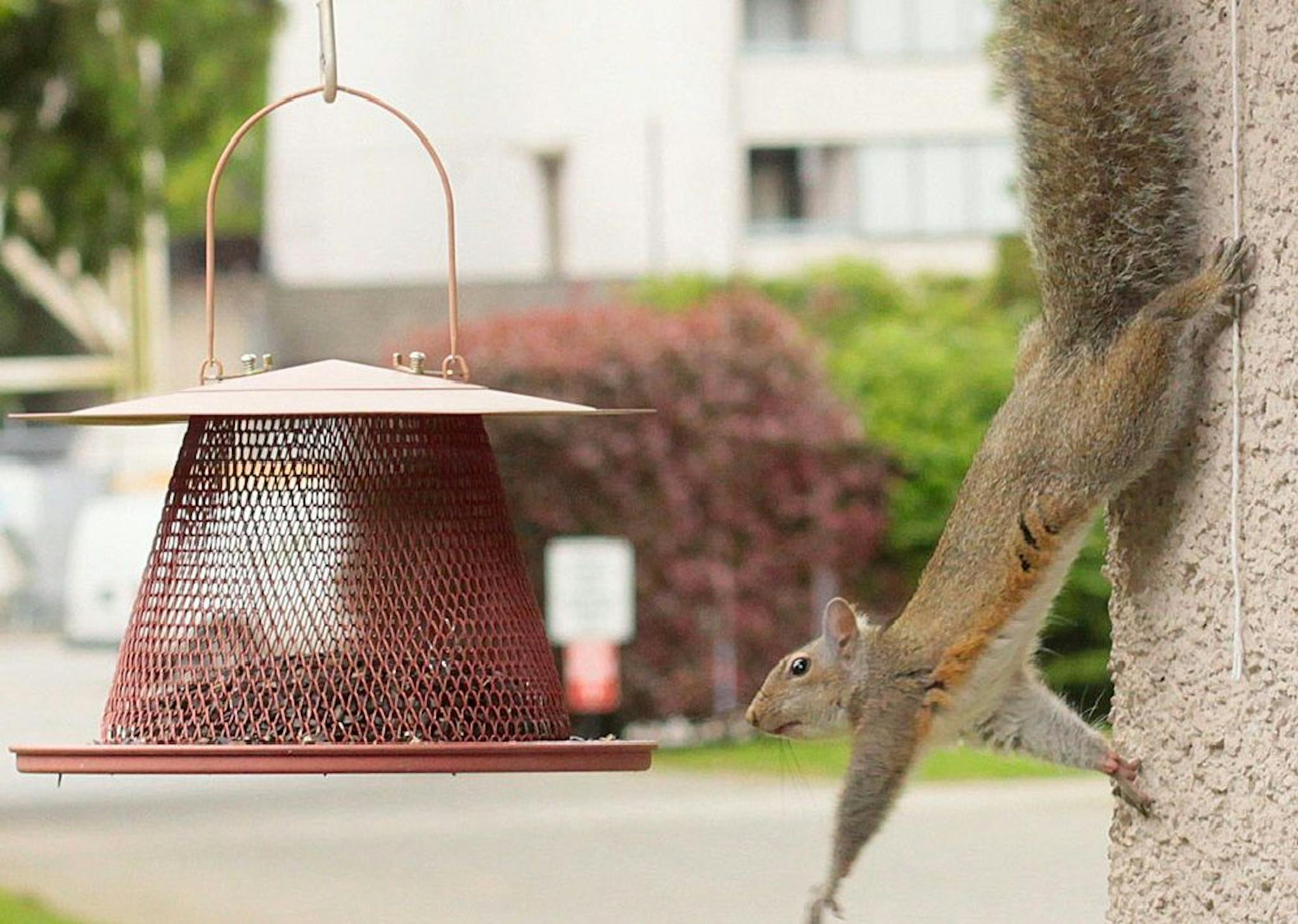 featured image - Agile Is Not Enough: Empowered On Innovation