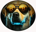 Dexter HackerNoon profile picture