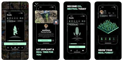 /tech-driven-tree-planting-how-pineox-moves-beyond-traditional-methods feature image