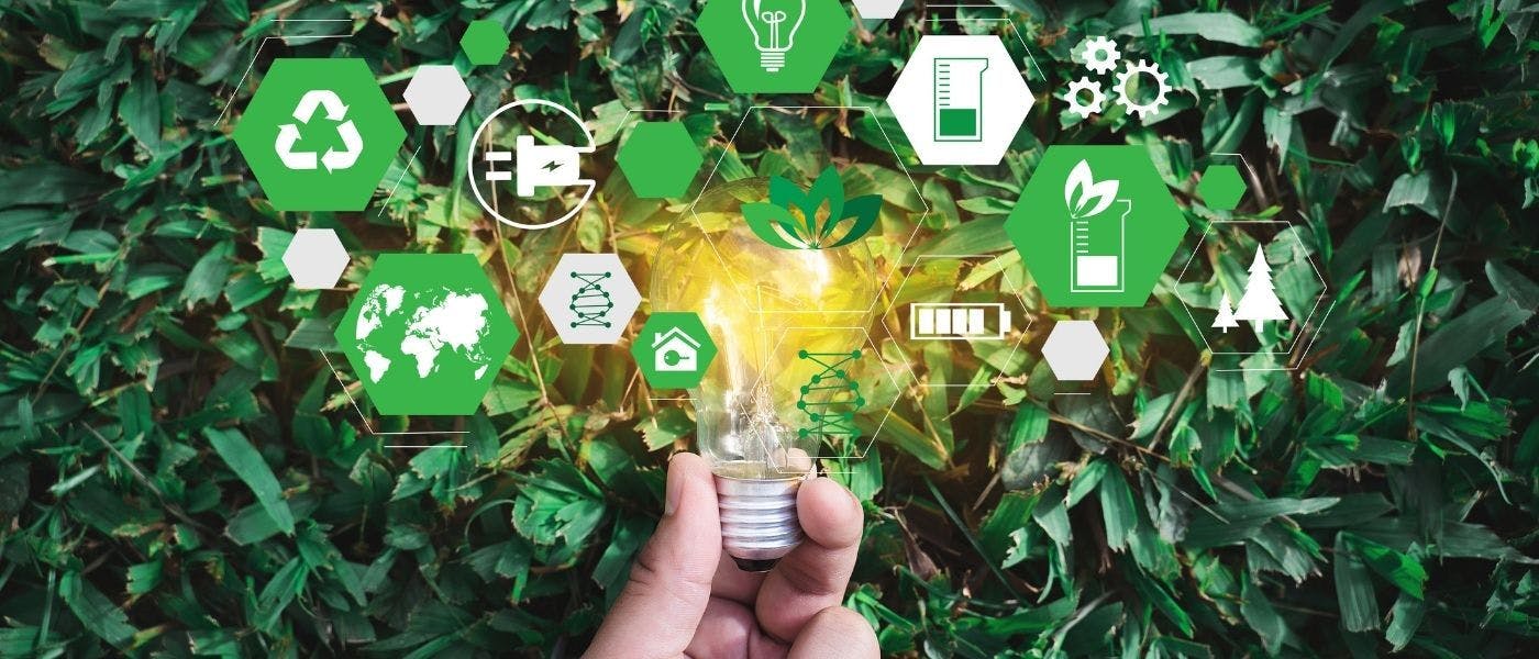 featured image - 10 Eco-Friendly Business Ideas for Sustainability-Minded Startups