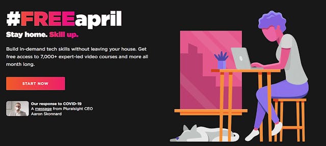 /100-free-pluralsight-courses-to-learn-python-java-and-spring-boot-ye6i3y0m feature image