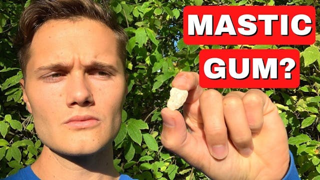 /how-to-grow-your-masseter-muscle-yes-its-possible feature image