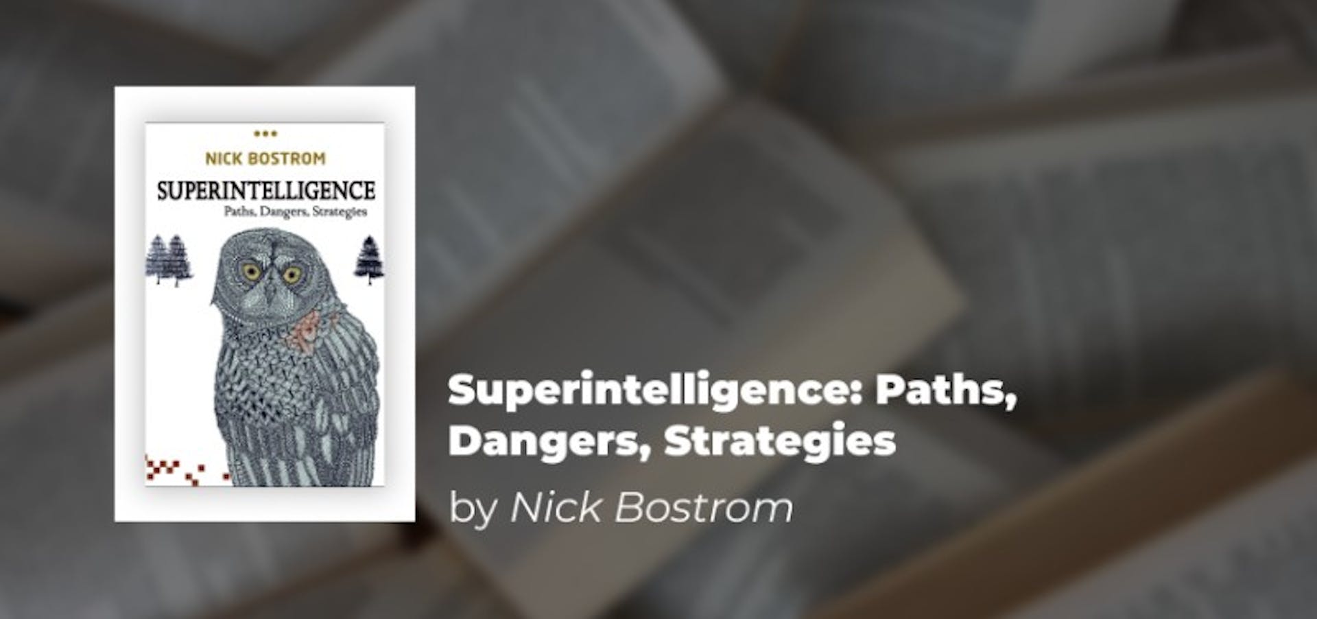 Superintelligence: Paths, Dangers, Strategies