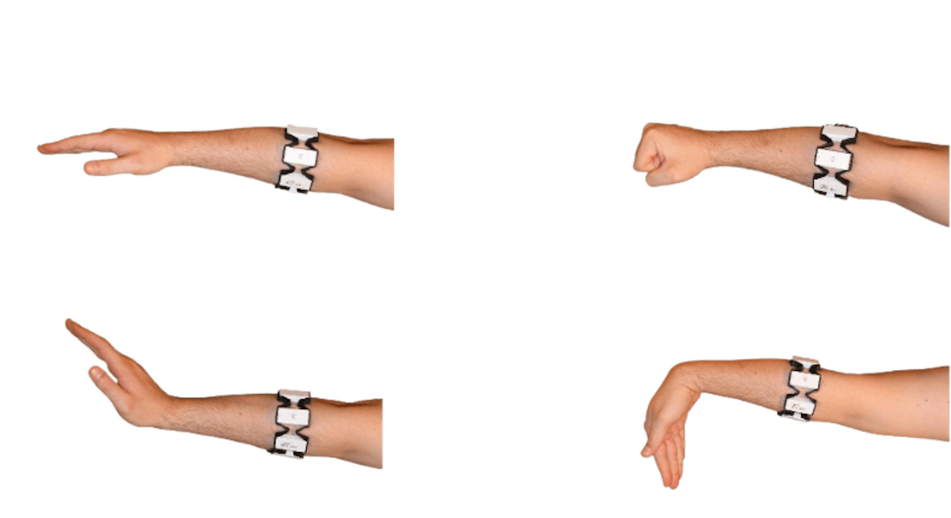 The 4 gestures used in this project. neutral (upper left) | fist (upper right) --> close gripper | extension (bottom left) --> move forward | flexion (bottom right) --> move backward. Images from myo-readings-dataset (https://github.com/aljazfrancic/myo-readings-dataset)