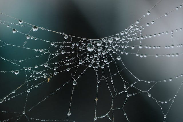 /winning-at-web-accessibility-in-2021-with-these-tools-for-developers-el2h31nt feature image