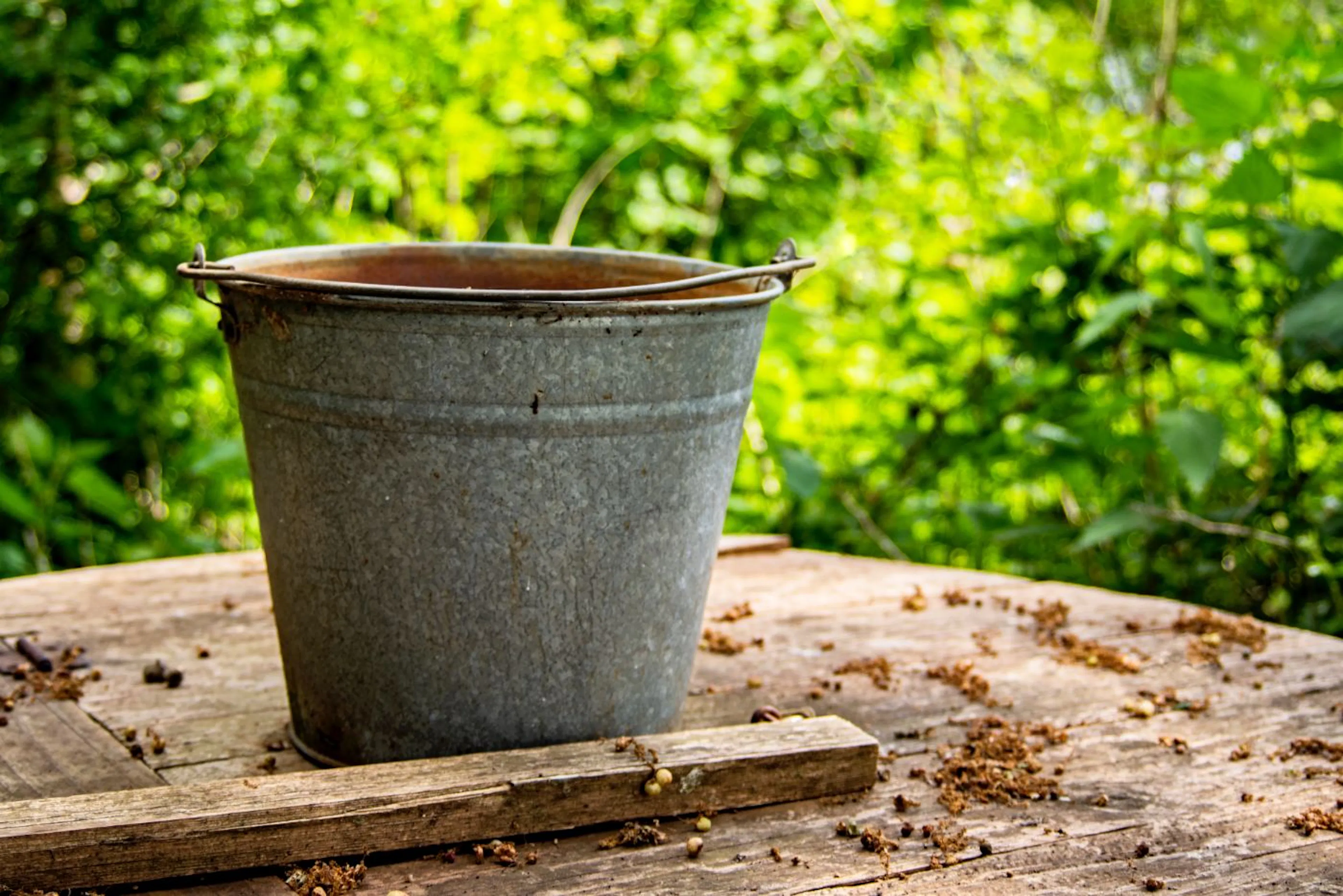 Learn Repo's image-f7001