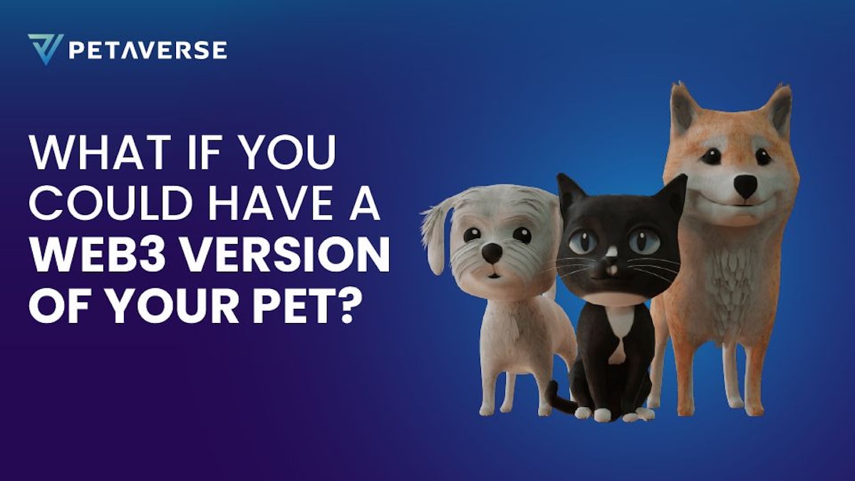 featured image - The Custom NFTs that Make a Web3 Version of Your Pet