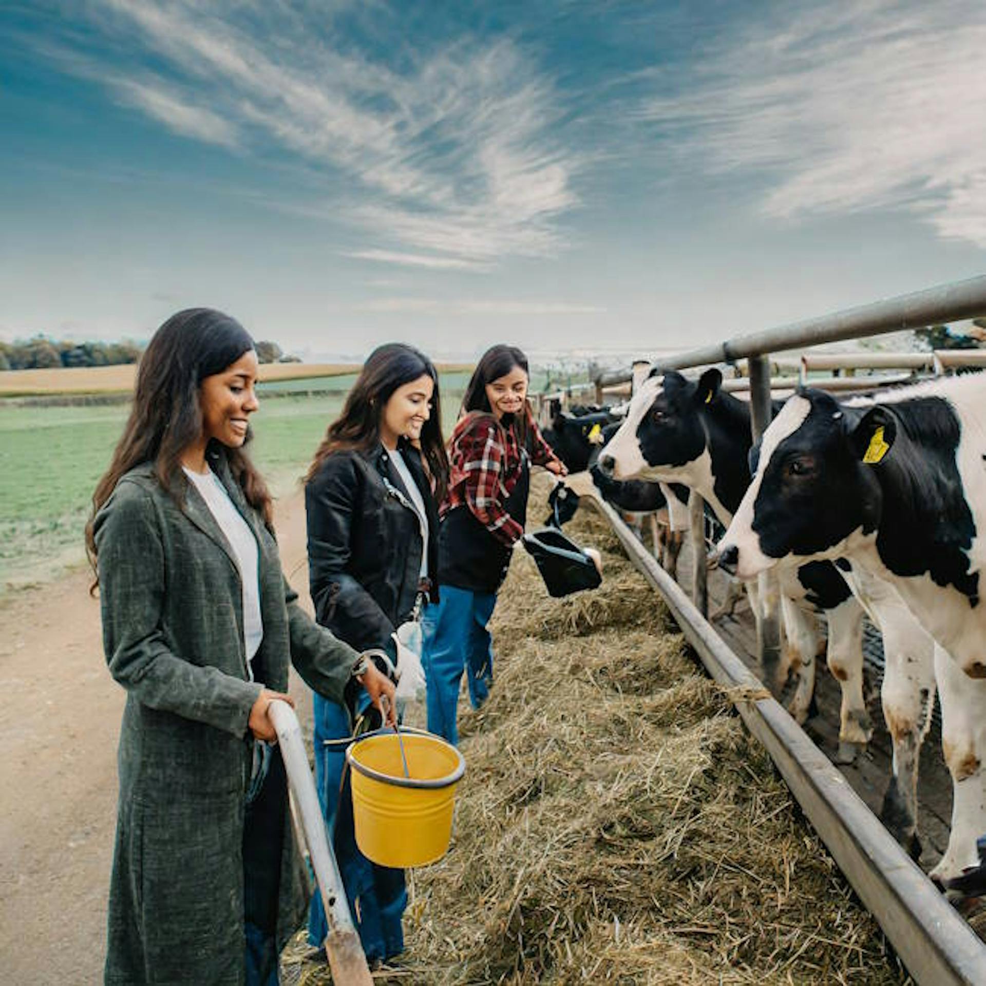 eight maids a-milking