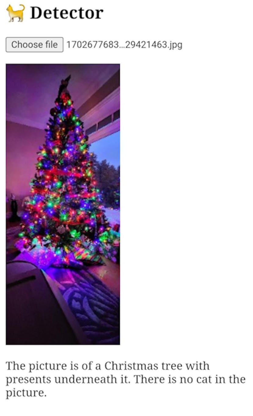 A picture of an XMas tree correctly identified.
