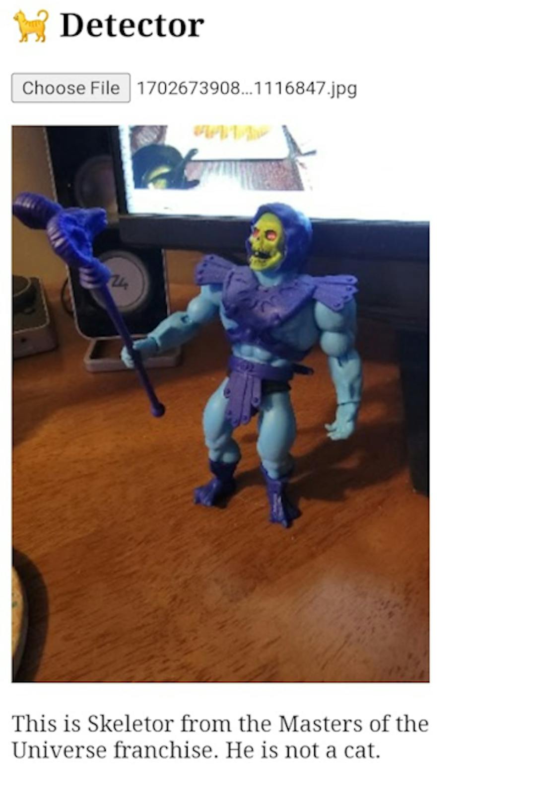 Une photo d'une figurine Skeletor