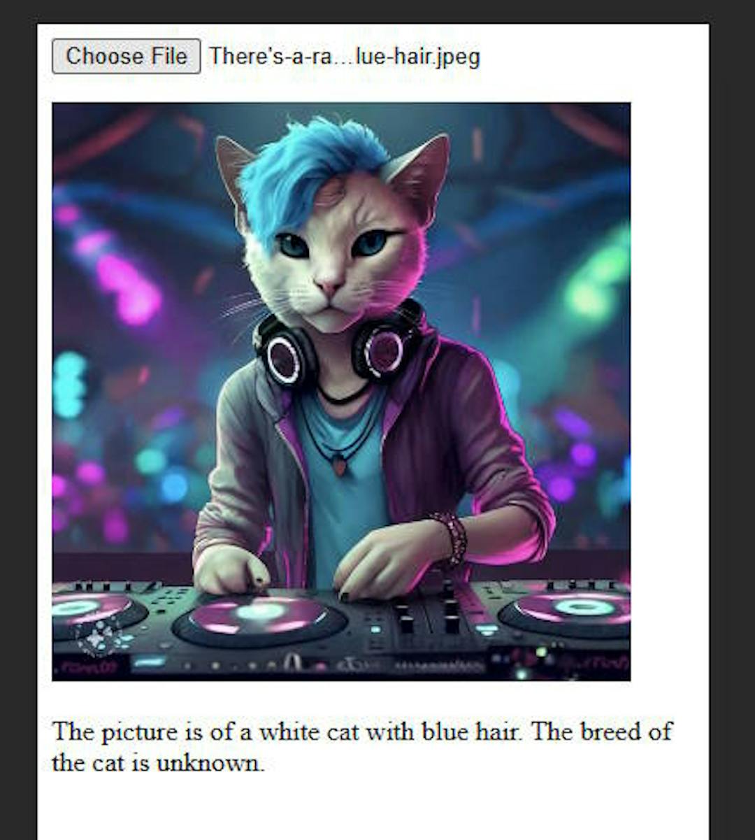 Uma foto de um gato como DJ.