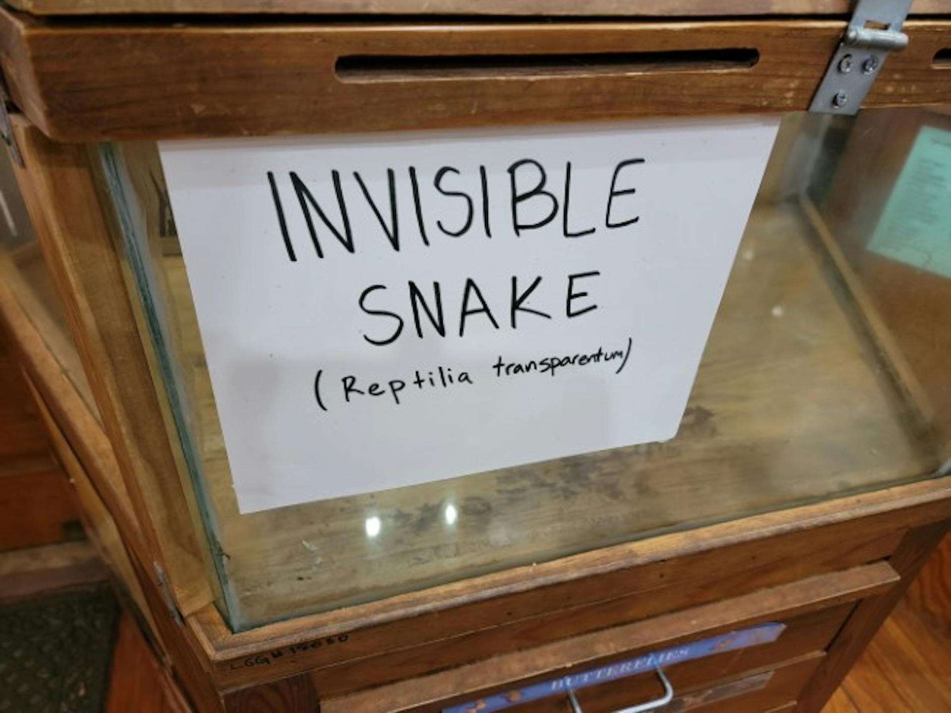 Display case that says 'invisible snake'