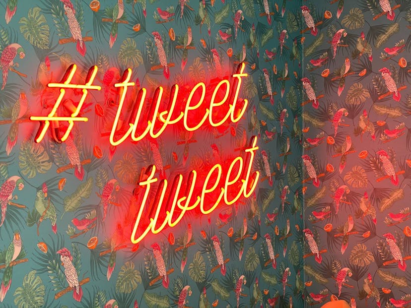 /building-a-twitter-bot-with-nodejs-part-2-deploying-to-server-and-schedule-tweets-eb2a33nx feature image