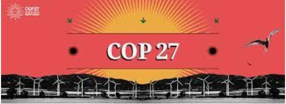 featured image - COP27 - Action Not Words