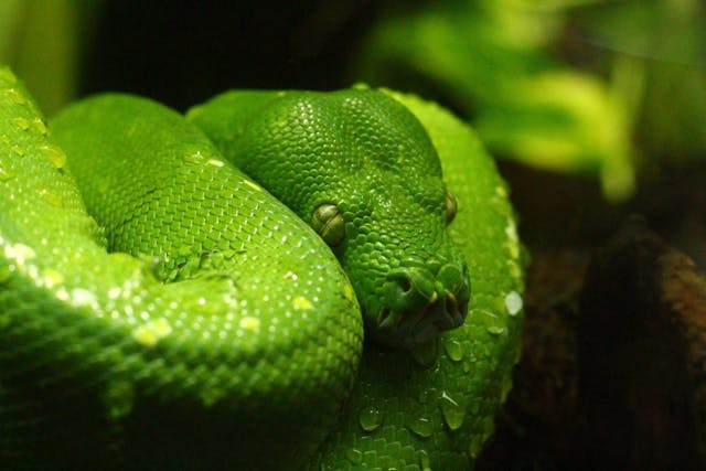 /8-editors-to-get-started-writing-python feature image