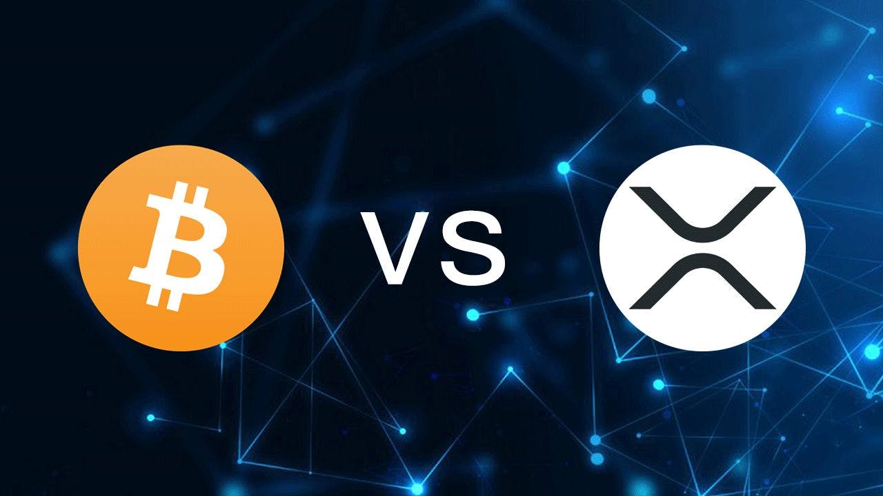 featured image - What are the differences between Bitcoin and XRP?