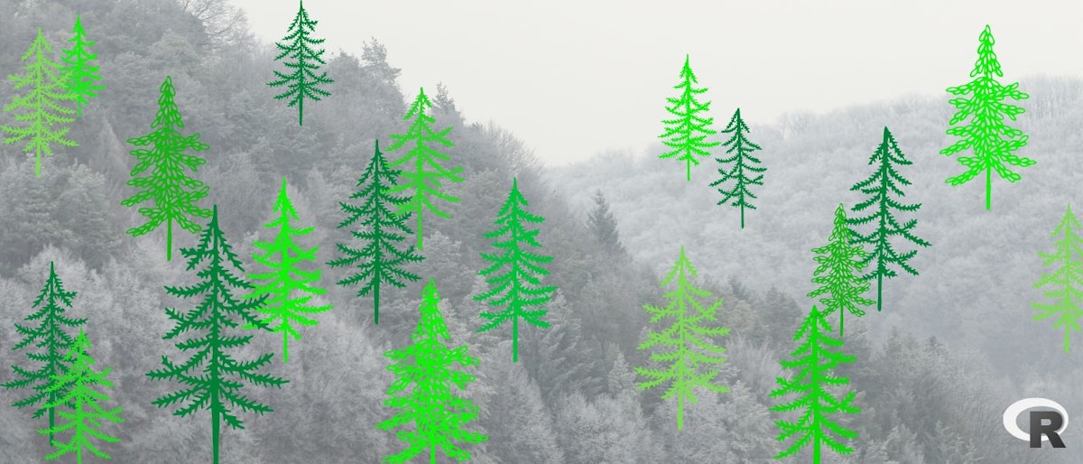 featured image - Random Forest Regression in R: Code and Interpretation