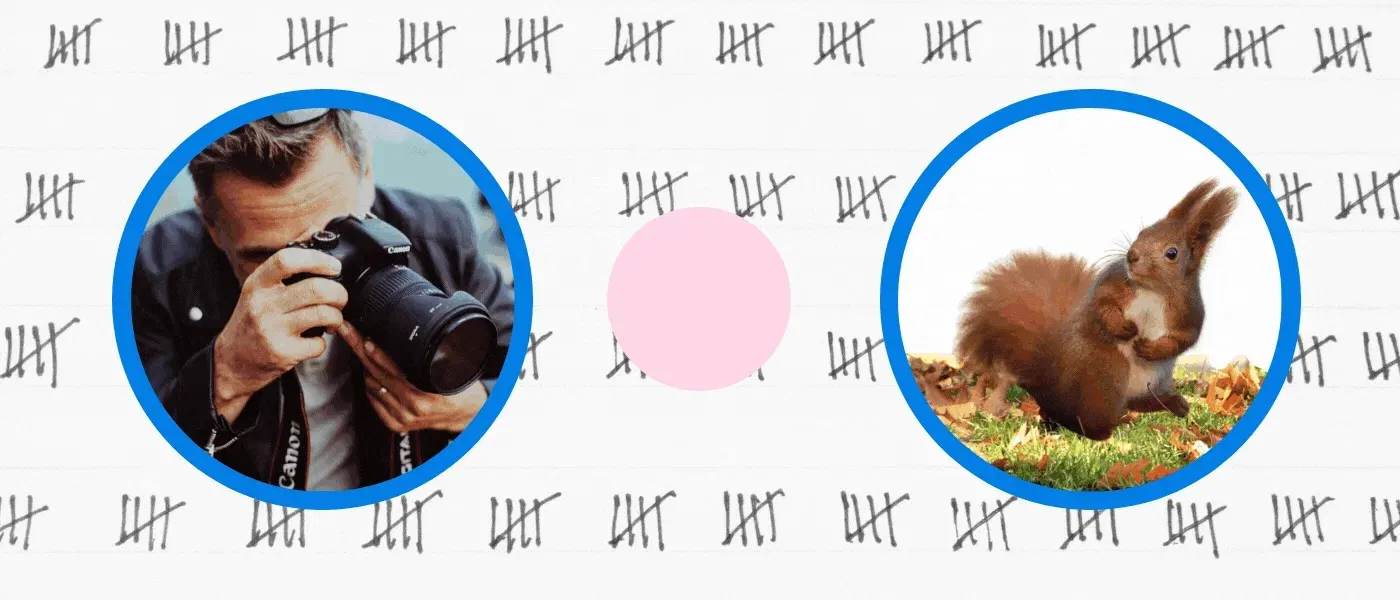 featured image - 3 Data Distributions for Counts in Layman’s Terms