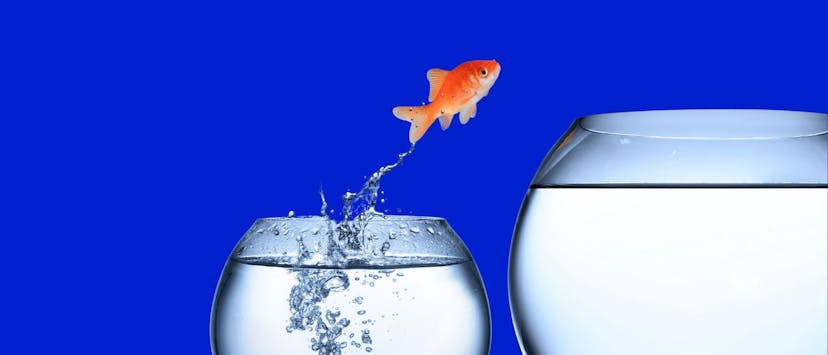 /how-to-translate-feedback-to-actionable-plan-with-examples feature image