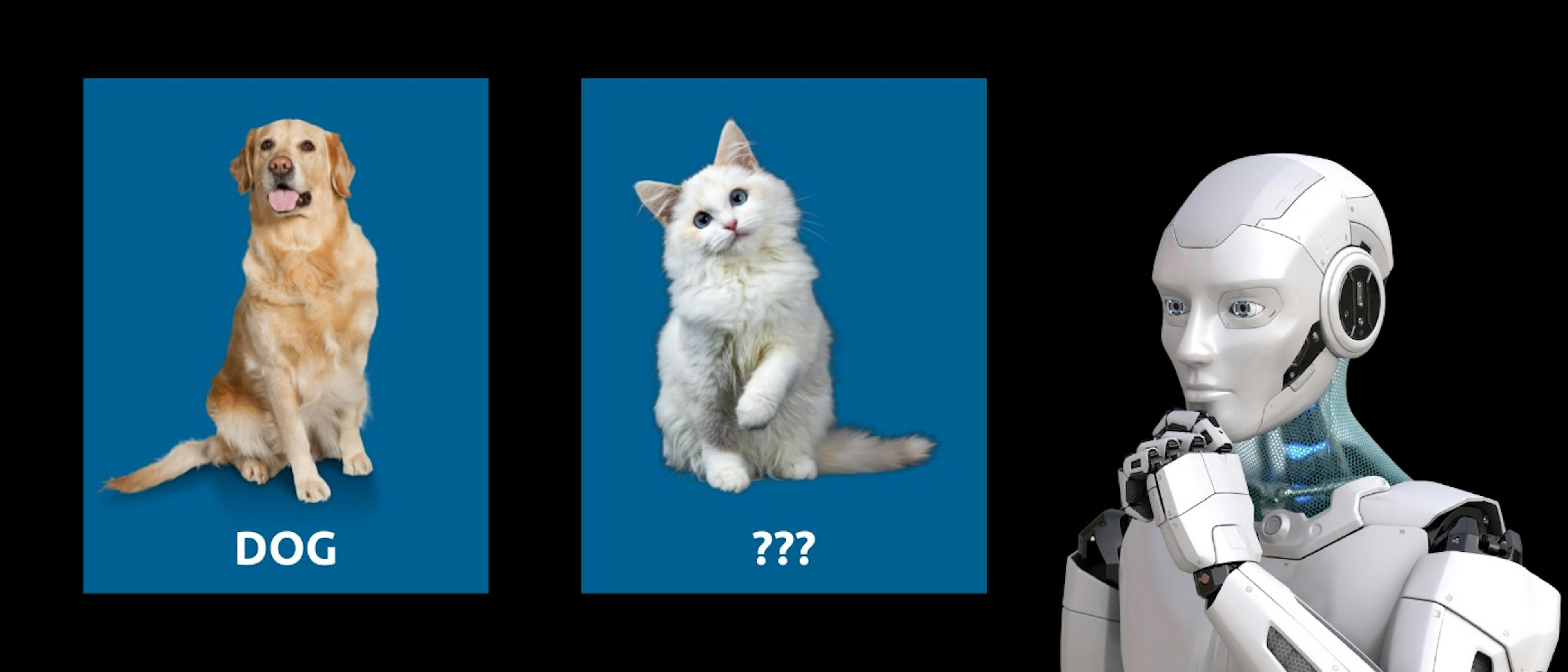 featured image - Model Evaluation With Proper Scoring Rules: A No-Math Introduction