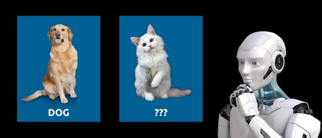 /model-evaluation-with-proper-scoring-rules-a-no-math-introduction feature image