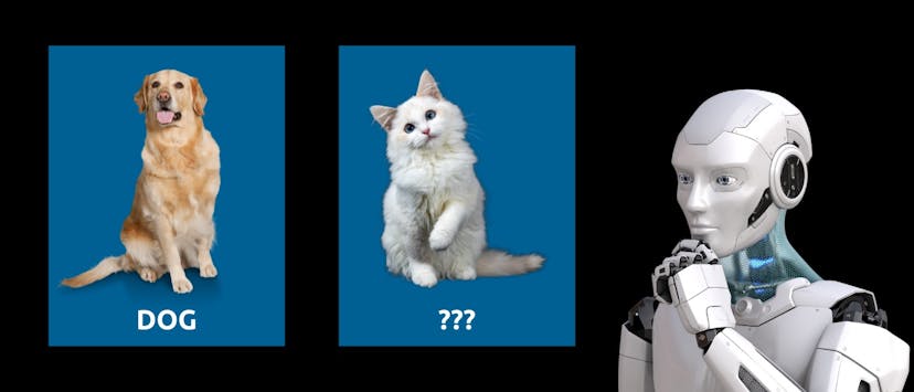 /model-evaluation-with-proper-scoring-rules-a-no-math-introduction feature image