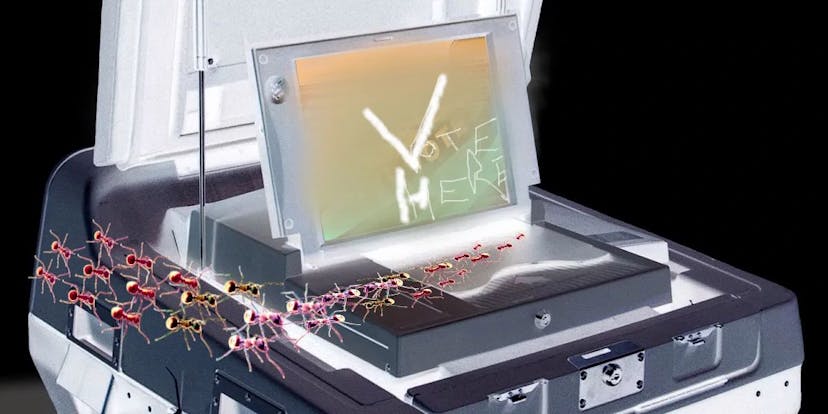 /every-vote-is-mostly-equal feature image