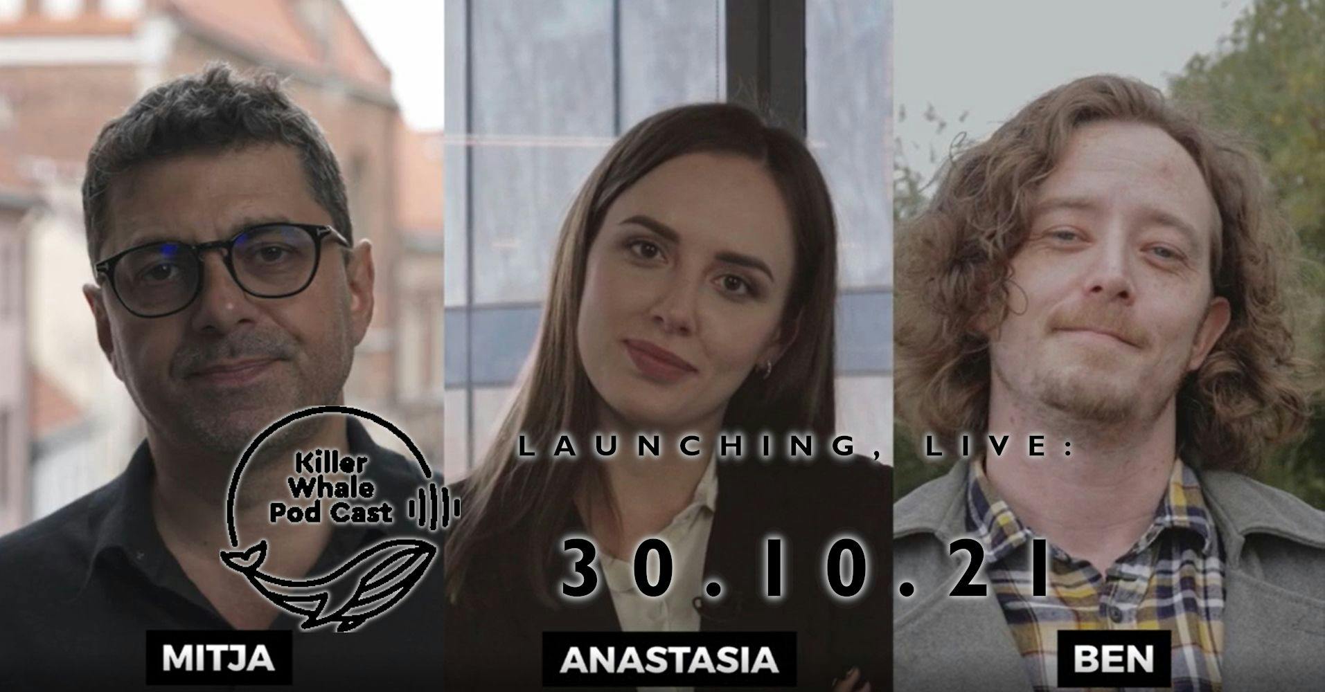 /forget-shark-tank-the-killer-whale-pod-is-here-to-support-your-blockchain-projects feature image