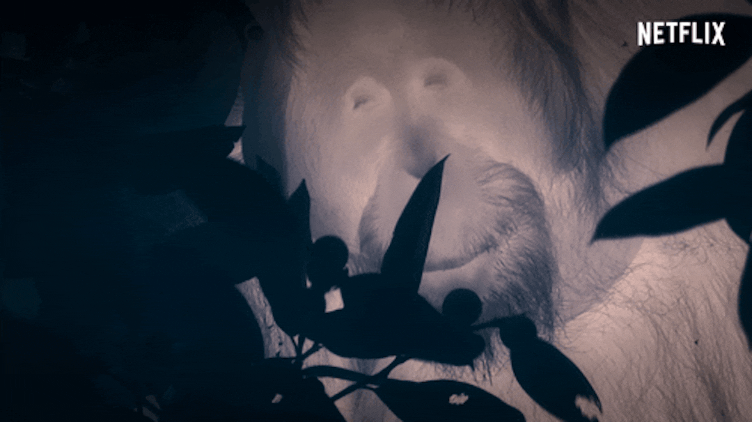 featured image - The Zeitgeist Digest 01—Tuesday, 4 February, 2020