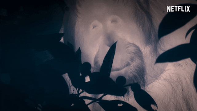 /the-zeitgeist-digest-01tuesday-4-february-2020-213gc343q feature image