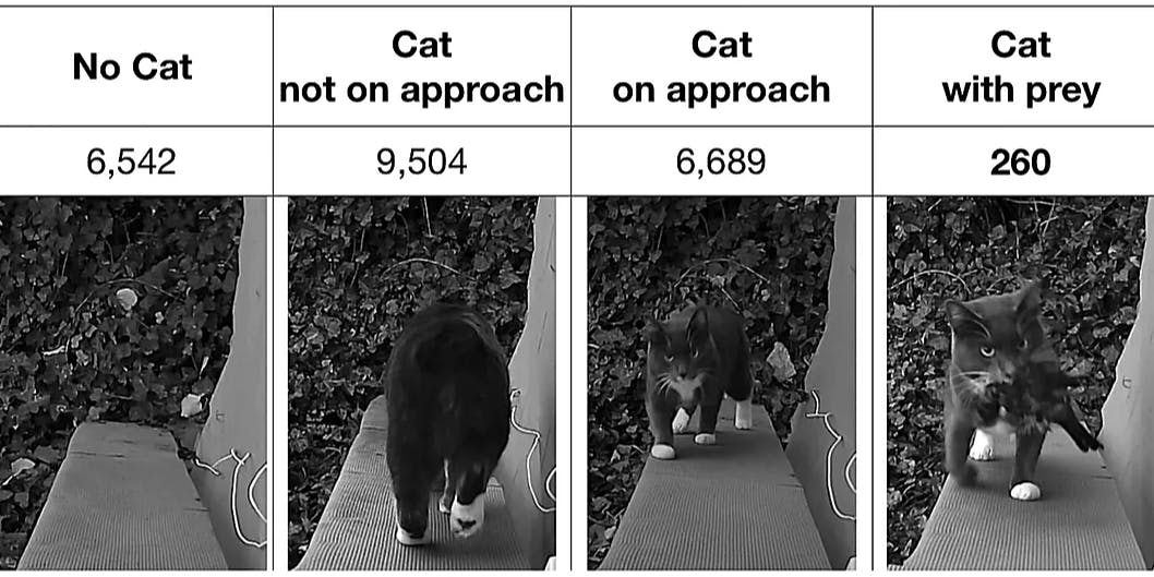 featured image - While You Were Weekending