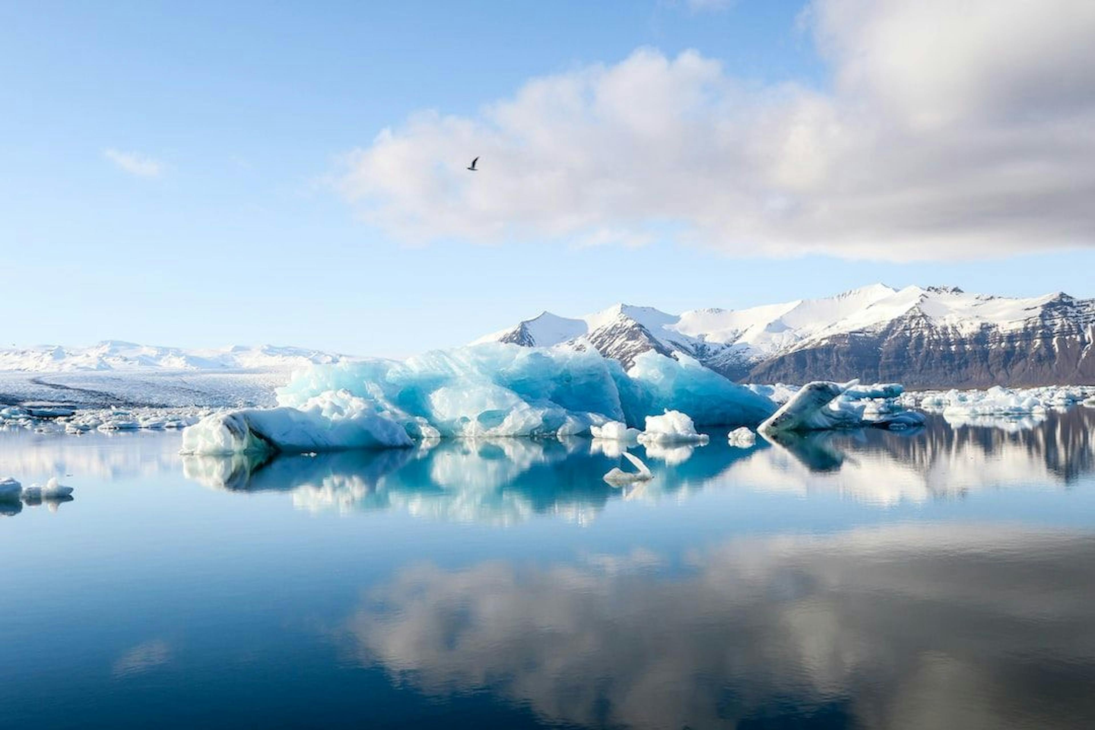 featured image - Orca, the World’s Largest Carbon Processing Facility and Iceland's Carbon Removal Project 