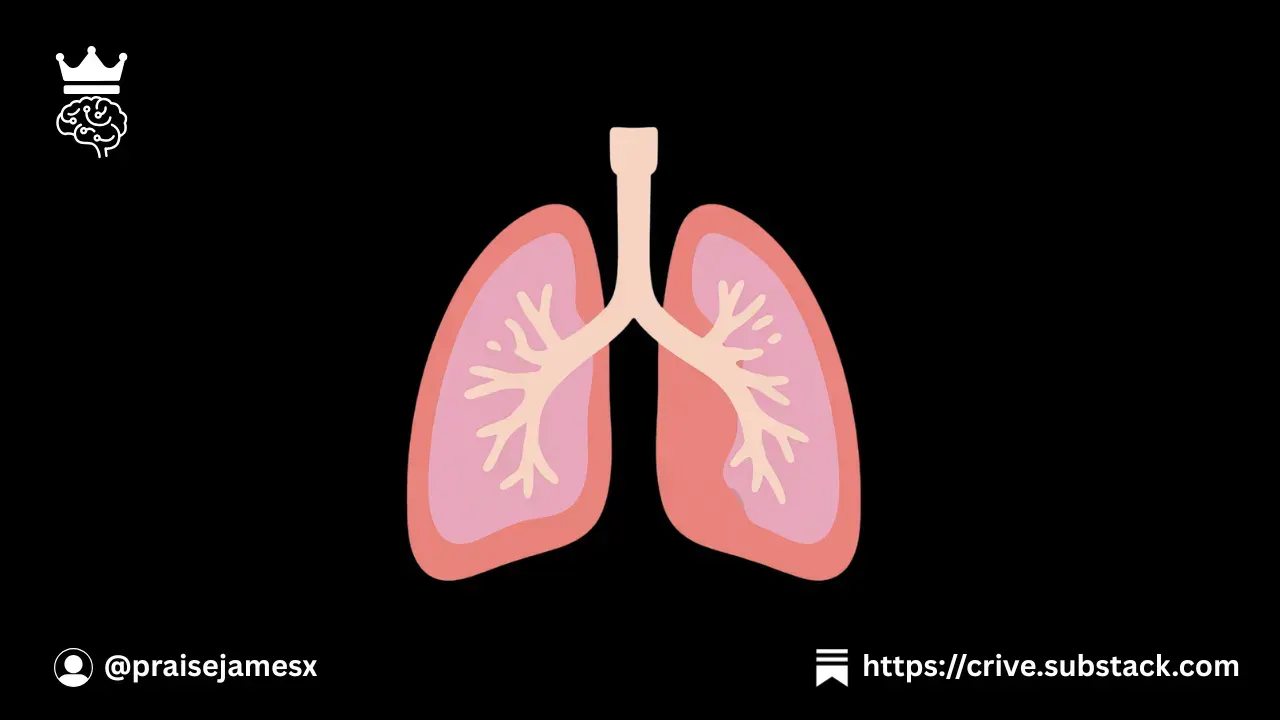 /until-it-feels-like-breathing-you-dont-understand-anything feature image