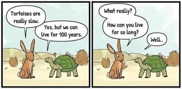 /speed-is-slowing-you-down-how-to-outperform-everyone-with-effortless-effort-and-overcome-laziness feature image