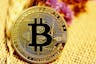 Bitcoin Enthusiast
