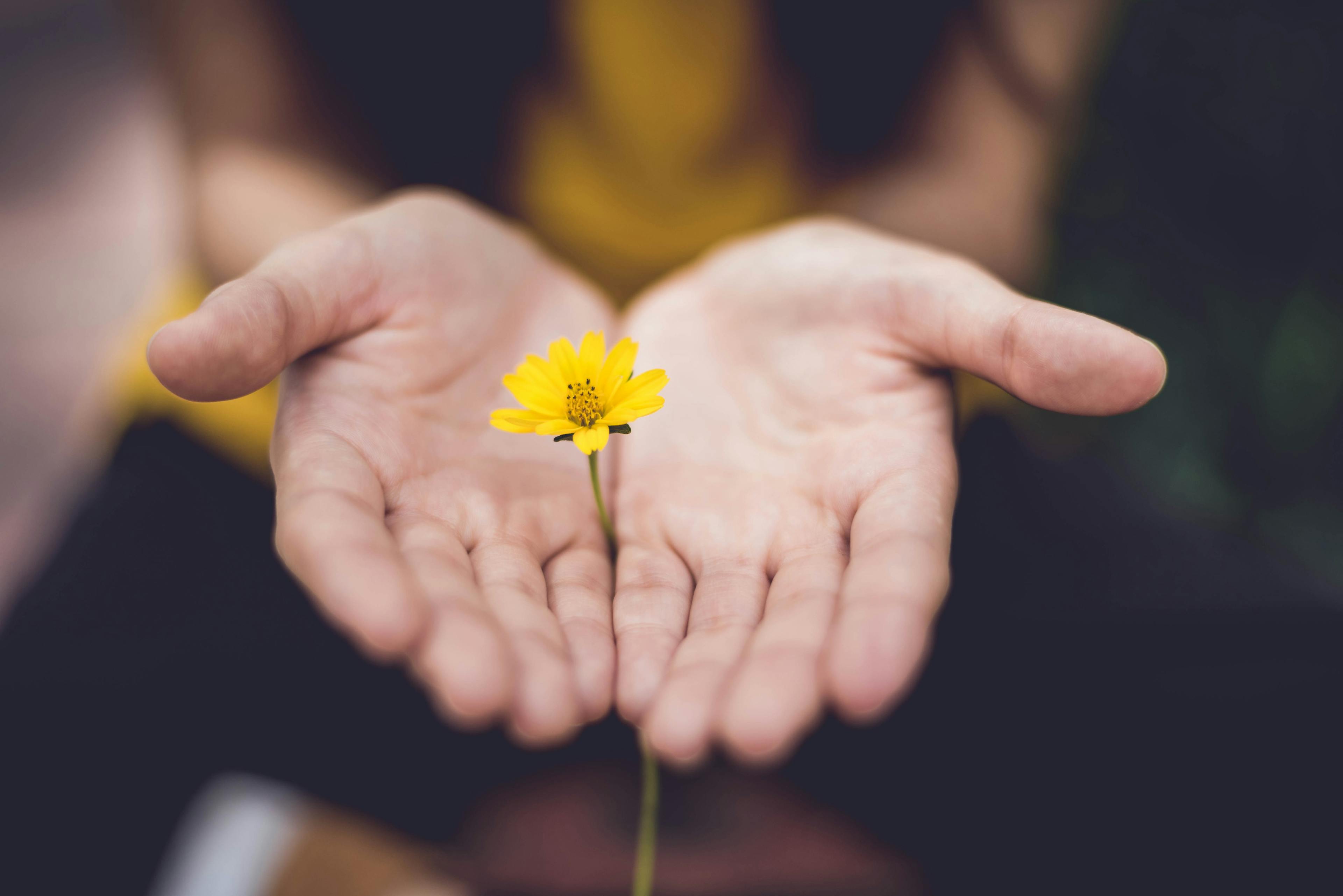 Unsplash'ta Lina Trochez'in fotoğrafı